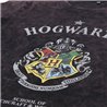 CAMISETA LARGA SINGLE JERSEY HARRY POTTER DARK GRAY - Teknashop Ltd