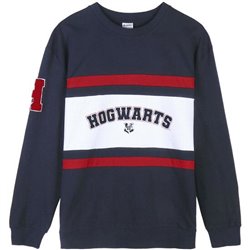 SUDADERA COTTON BRUSHED HARRY POTTER DARK BLUE - Teknashop Ltd