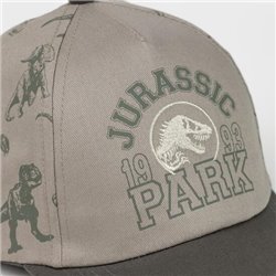 GORRA VISERA CURVA JURASSIC PARK