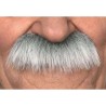 BIGOTE ADULTO CANOSO TALLA ÚNICA