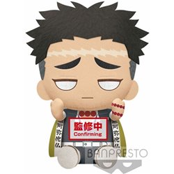 PELUCHE GYOMEI HIMEJIMA DEMON SLAYER KIMETSU NO YAIBA 20CM