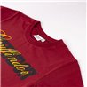 CAMISETA CORTA SINGLE JERSEY HARRY POTTER DARK RED