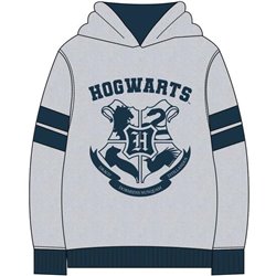 SUDADERA CON CAPUCHA COTTON BRUSHED HARRY POTTER GRAY