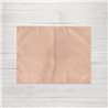 PACK 2 UNIDADES MANTEL INDIVIDUAL HIDROFUGADO ANTIMANCHAS LINO 100% DUSTYPINK