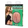 PENTHOUSE TOYS CALENDAR GIRL STROKER, AUGUST, DAKODA BROOKES 