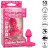 PLUG VIBRADOR PEQUEÑO - ROSA