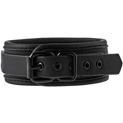 BLAZE COLLAR AND LEASH BLACK