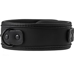 BLAZE COLLAR AND LEASH BLACK