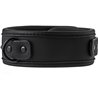 BLAZE COLLAR AND LEASH BLACK