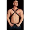 ADONIS - HIGH HALTER - NEGRO