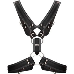 SCOTTISH HARNESS - NEGRO