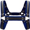 BUCKLE BULLDOG HARNESS - AZUL