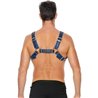 BUCKLE BULLDOG HARNESS - AZUL