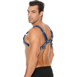 BUCKLE BULLDOG HARNESS - AZUL