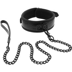 BLAZE COLLAR AND LEASH...