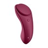 Sexy Secret Panty Vibrator Wine Red