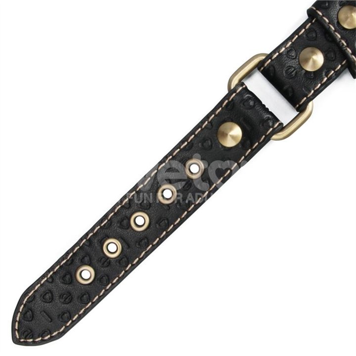 Rebellion Reign Collar with Chain - LO-LV761205 - Teknashop Ltd