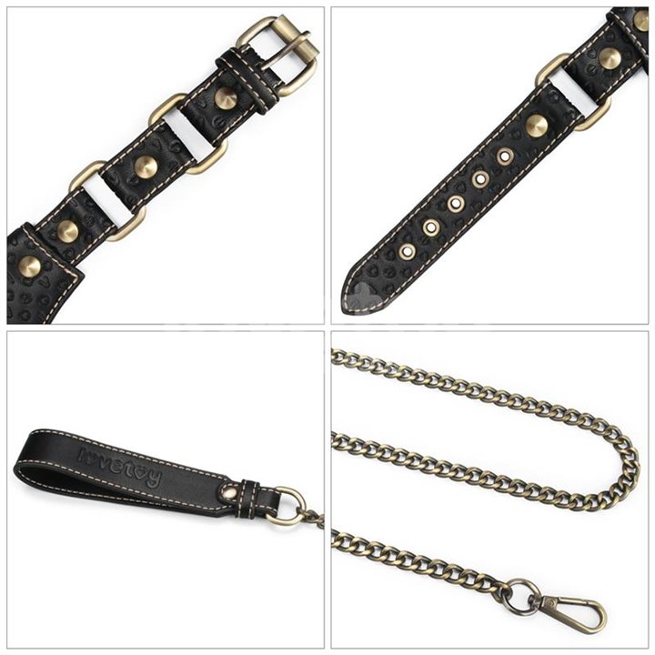 Rebellion Reign Collar with Chain - LO-LV761205 - Teknashop Ltd
