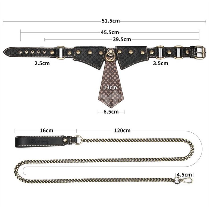 Rebellion Reign Collar with Chain - LO-LV761205 - Teknashop Ltd