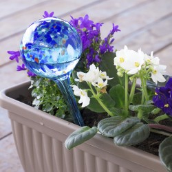 Automatic Watering Globes Aqua·Loon InnovaGoods 2 Units (V0103017) - Teknashop Ltd