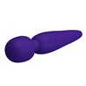 Meredith Massager Wand Violet