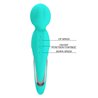 Walter Wand Massager Aqua