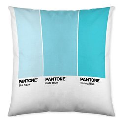 Cushion cover Ombre Pantone Localization-B086JQ1ZM7 Reversible 50 x 50 cm (S2805274) - Teknashop Ltd