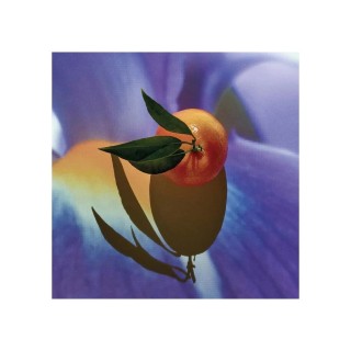Loewe Solo Elixir 50 Vap M - unisex - Teknashop Ltd