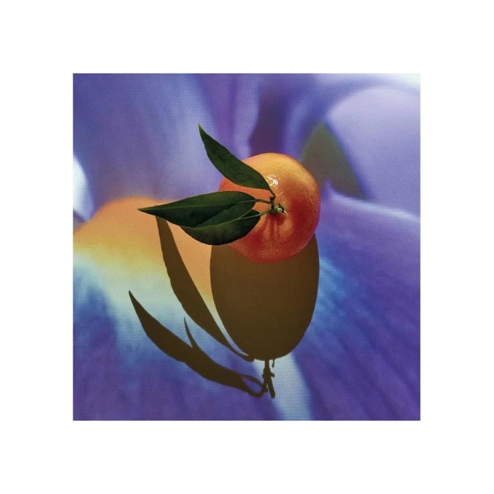 Loewe Solo Elixir 50 Vap M - unisex - Teknashop Ltd