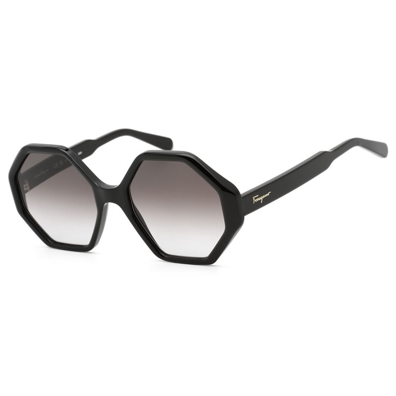 Ladies' Sunglasses Salvatore Ferragamo SF1070S-001 Ø 55 mm (S0381788)