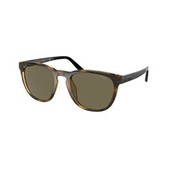 Men's Sunglasses Ralph Lauren PH4182U-5003-3 Ø 53 mm (S0382246)