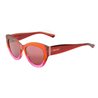 Ladies' Sunglasses Jimmy Choo XENA-S-1MQU1 (S0383600)