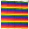 LGBT+ Pride Scarf