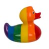 Rainbow Squeaking Duck