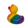 Rainbow Squeaking Duck