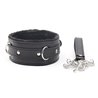 Collar With Metal Leash Black