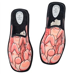 DIABLO PICANTE - PENISES SHOES MEDIUM SIZE 39-40-41 - D-245400 - Teknashop Ltd