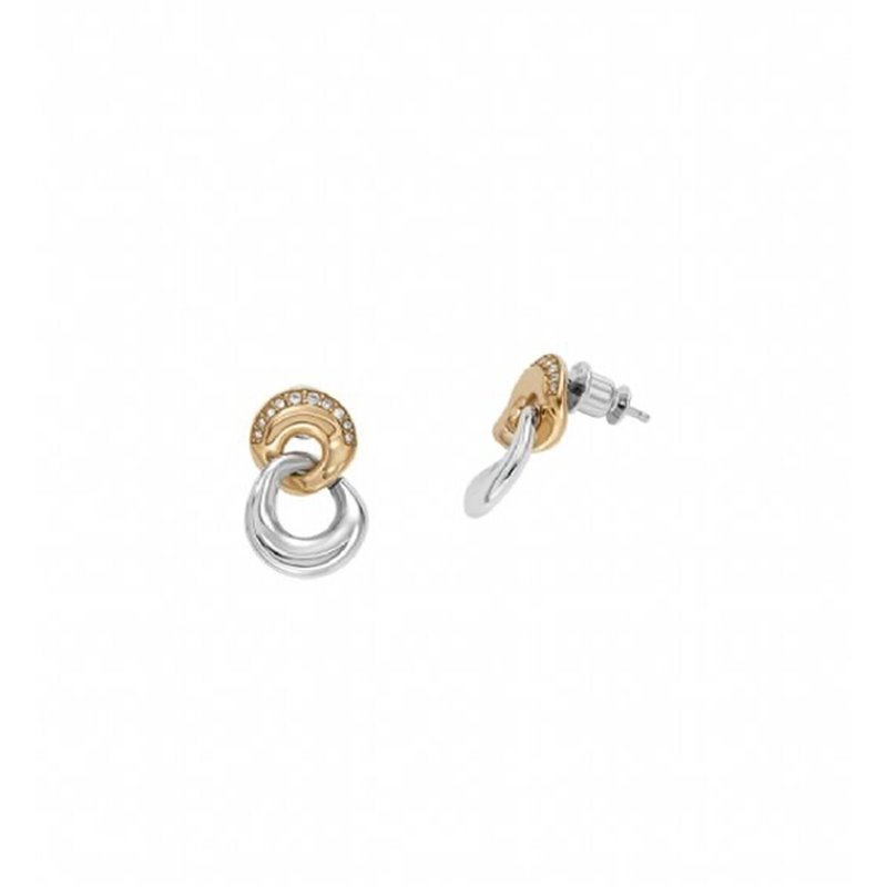 Ladies' Earrings Skagen SKJ1609998 (S7249562)