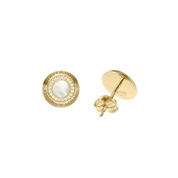 Ladies' Earrings Emporio Armani EG3565710 (S7249633)