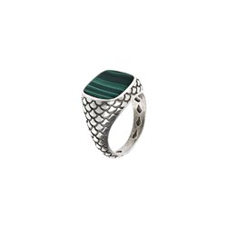 Men's Ring Albert M. WSOX00075.MLC-24 24 (S7253086)