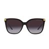 Ladies' Sunglasses Ralph Lauren RL 8209 (S7267808)