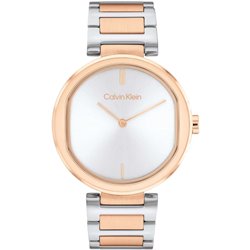 Ladies' Watch Calvin Klein 1685213 (S7273913)