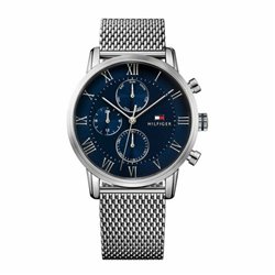 Men's Watch Tommy Hilfiger 1669934 Silver (S7276414)