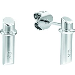 Ladies' Earrings Calvin Klein 1681272 (S7276576)