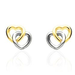 Ladies' Earrings Stroili 14009105 (S7278902)