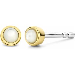 Ladies' Earrings Ti Sento 7874MW (S7285491)