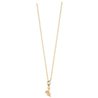 Ladies' Necklace Just Cavalli ANIMALIER (S7289441)