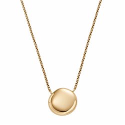 Ladies' Necklace Skagen SKJ1774710 (S7293705)