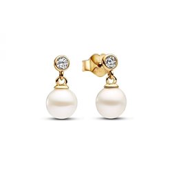 Ladies' Earrings Pandora 263153C01 (S7295187)