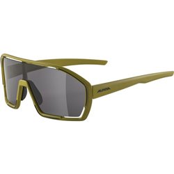 Men's Sunglasses Alpina BONFIRE (S9126388)